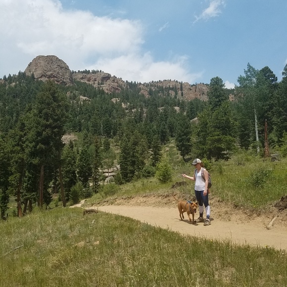 Meet your Posher, Sheila - Picture 4 of 5